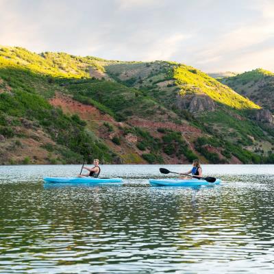 Lifetime Cruze 100 Sit-In Kayak – 2 Pack (Paddles Included) 445