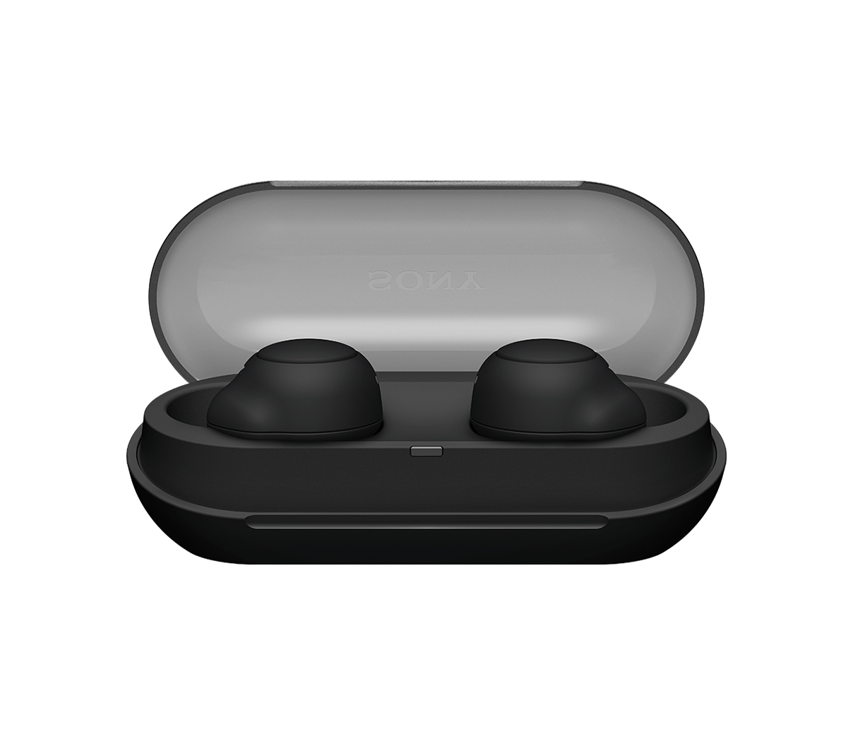 WF-C500 Truly Wireless In-ear Headphones