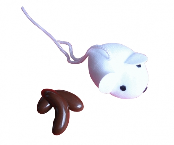 Maison Des Chats Accessoires