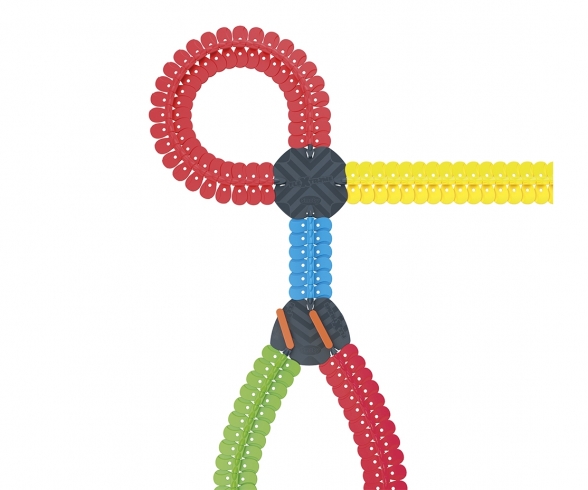FleXtreme Set Multi-Circuits