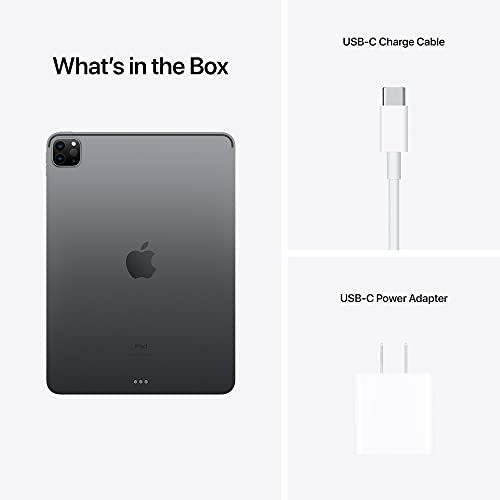 2021 Apple 11-inch iPad Pro (Wi-Fi, 256GB) - Space Gray