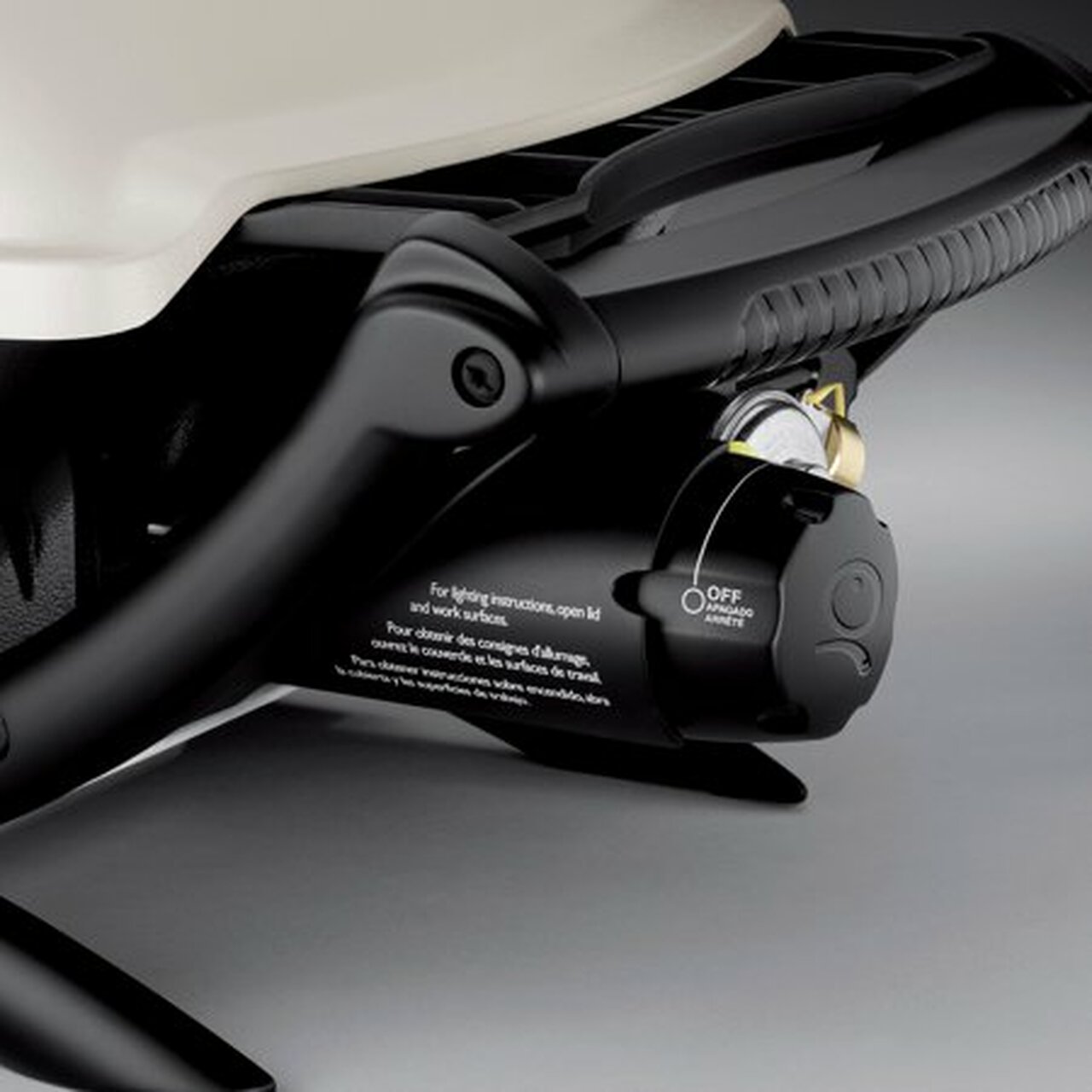 Weber Q2000 Grill
